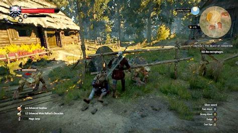 The Witcher 3 Wild Hunt: Where the Cat and Wolf Play..